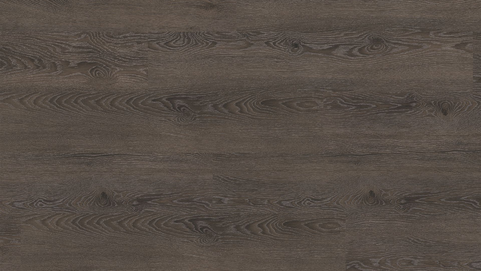 corpet_eltorro_vinylboden_ceracorFlex_Eiche silver metallic_vogelperspektive