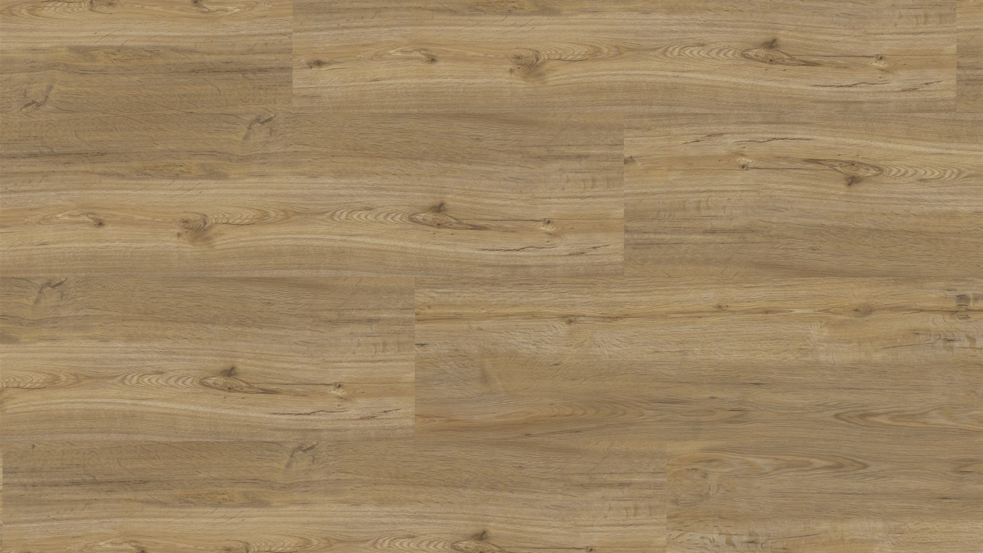 corpet_eltorro_vinylboden_hydroWood_Walderle_vogelperspektive