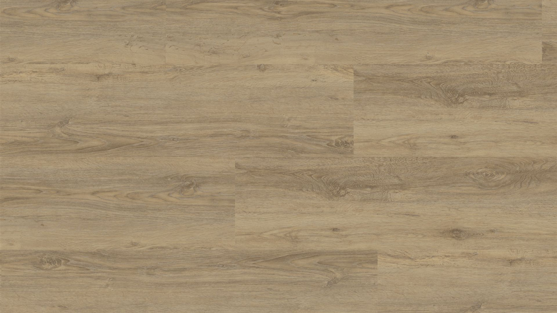 corpet_eltorro_vinylboden_hydroWood_Wildeiche_vogelperspektive